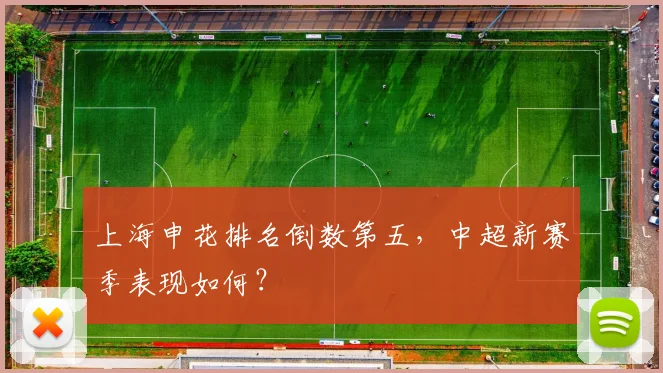 上海申花排名倒数第五，中超新赛季表现如何？