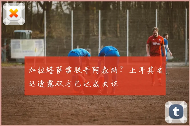 加拉塔萨雷联手阿森纳?土耳其名记透露双方已达成共识