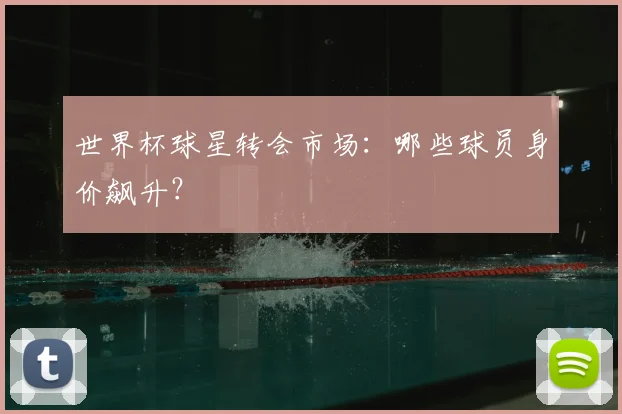 世界杯球星转会市场：哪些球员身价飙升？