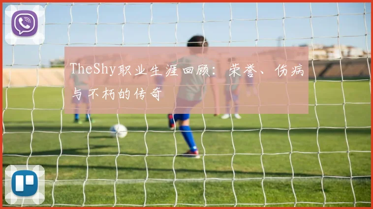 TheShy职业生涯回顾：荣誉、伤病与不朽的传奇
